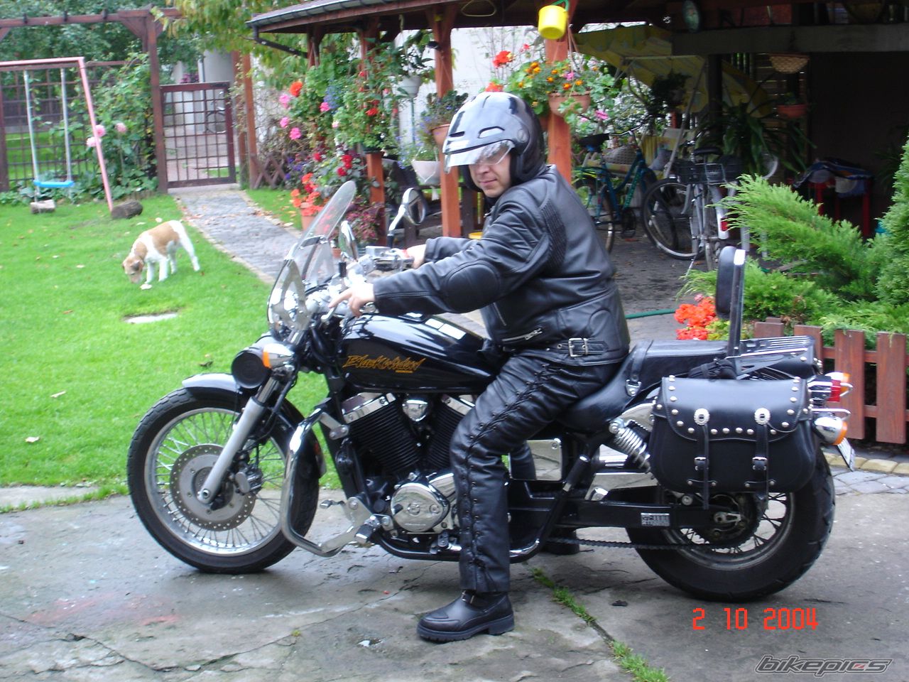 2001 HONDA VT 750 BLACK WIDOW | Picture 696677 motorcycle photo