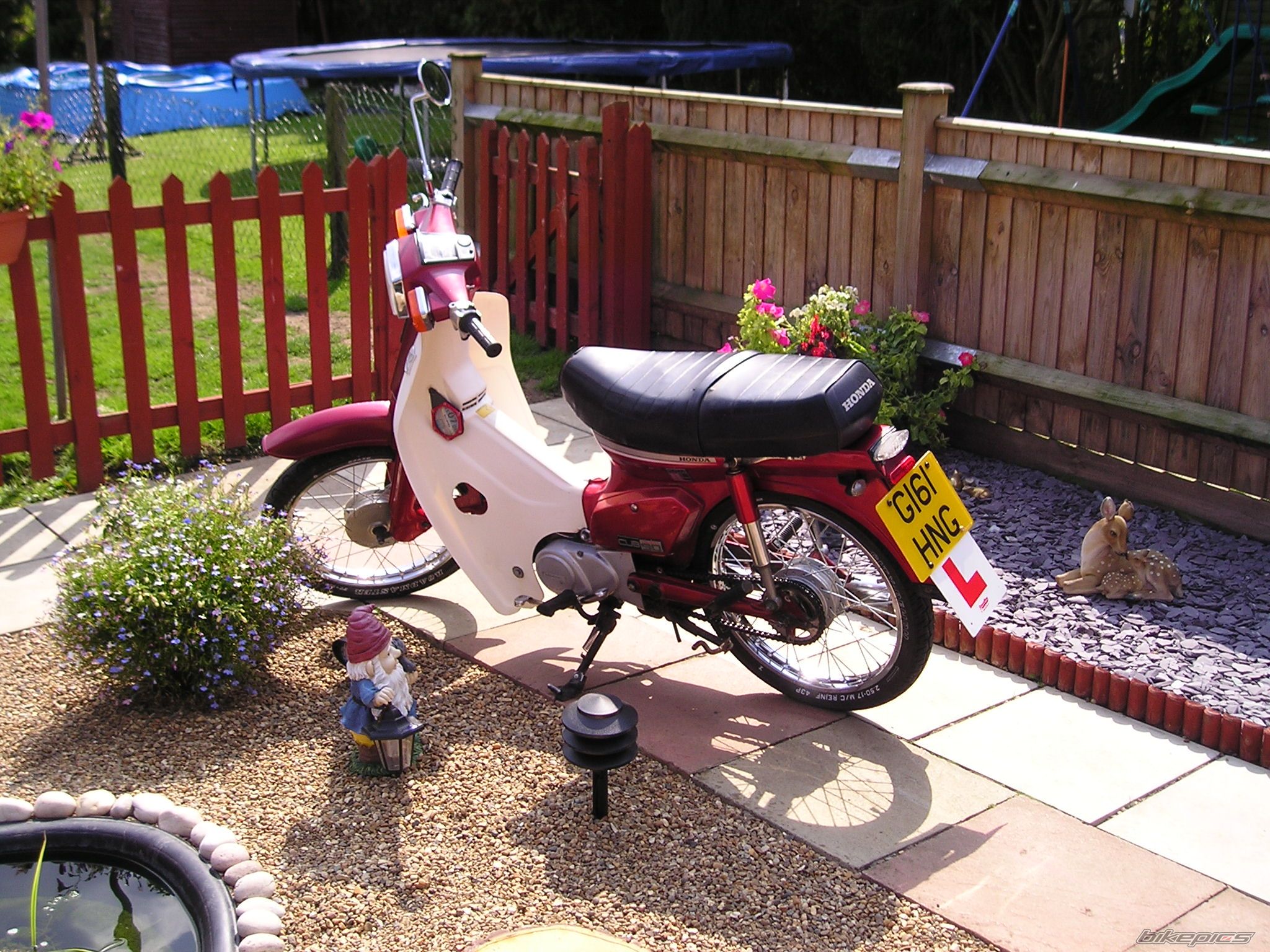 1989 HONDA C 90 | Picture 696944 motorcycle photo