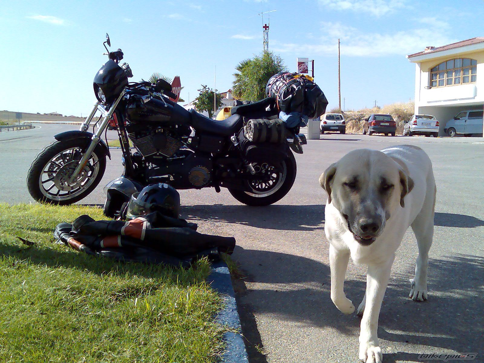    | Picture 697429 motorcycle photo