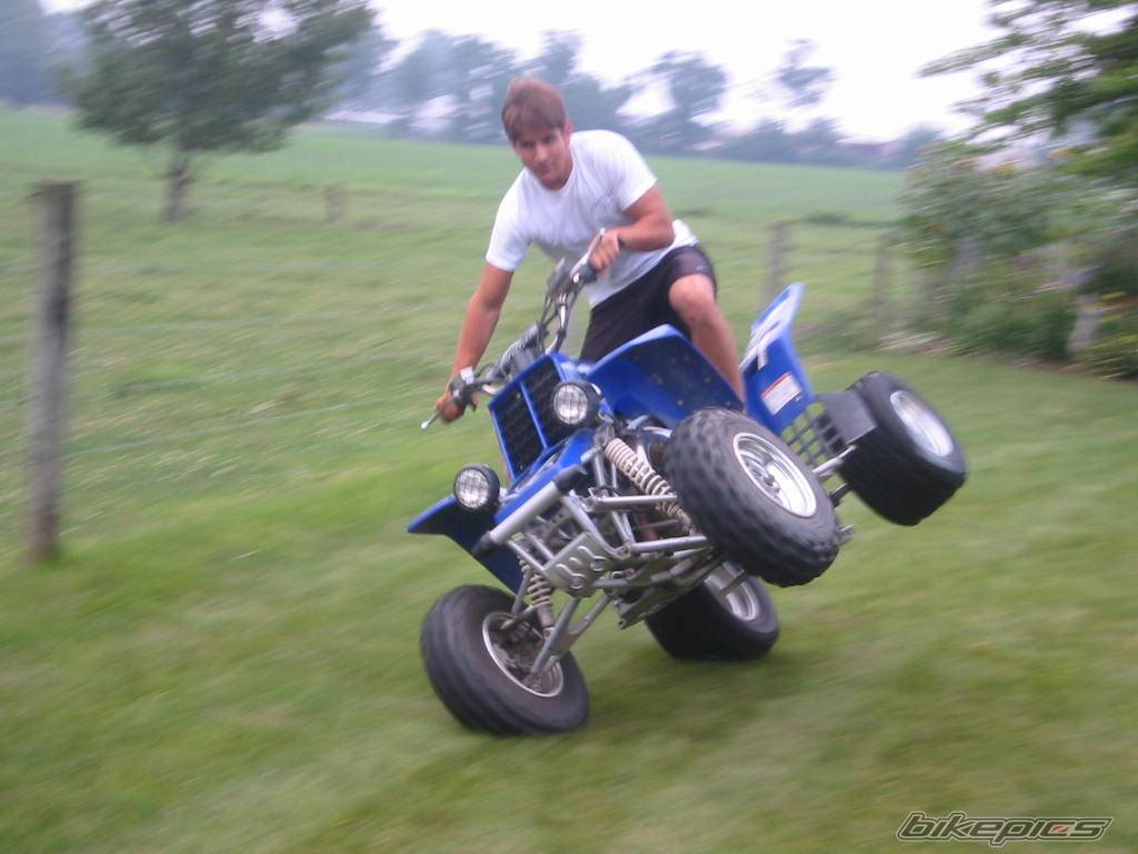2002 YAMAHA BANSHEE | Picture 69835 motorcycle photo