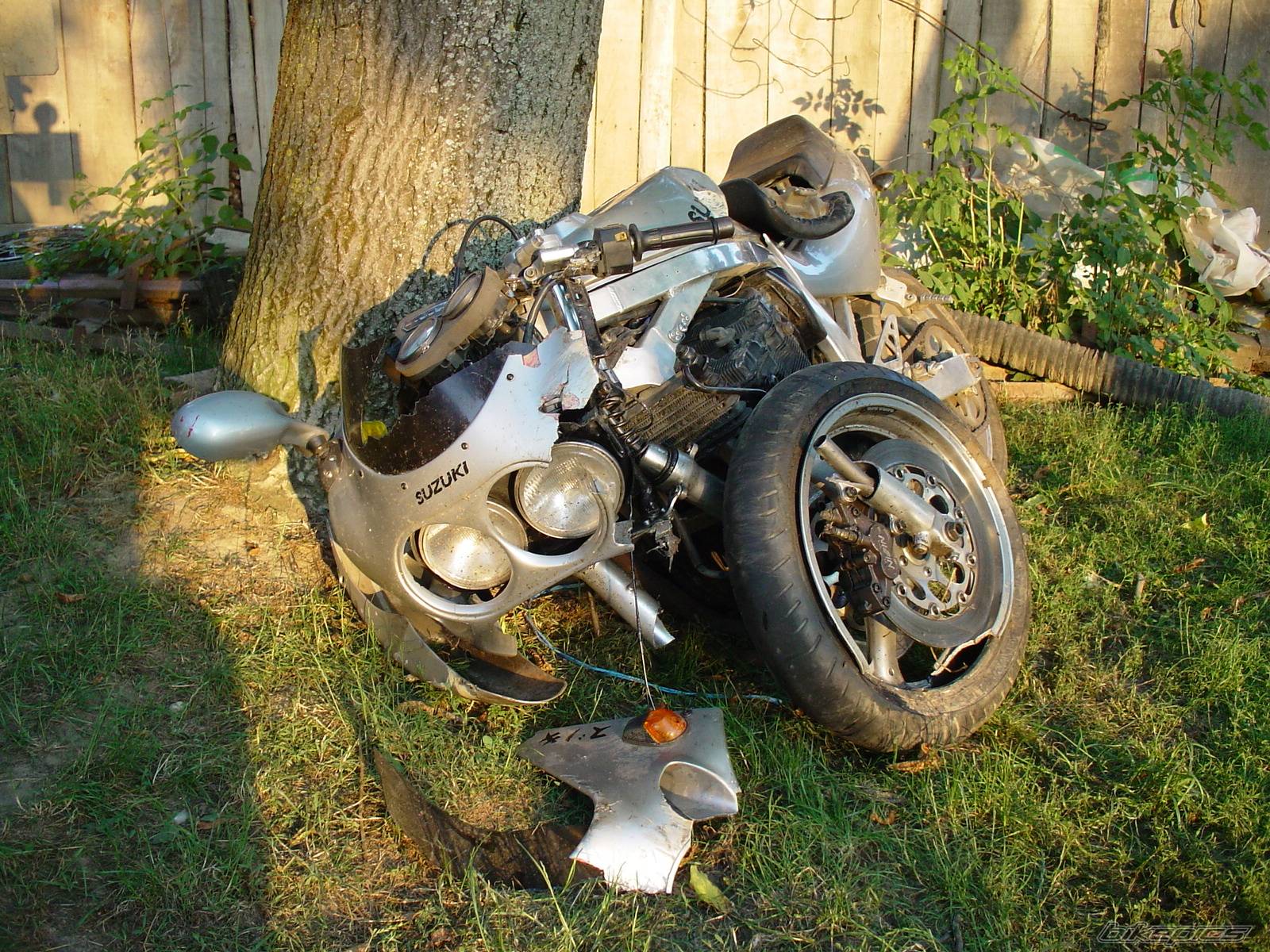 1988 SUZUKI GSX R 750 | Picture 69843 motorcycle photo