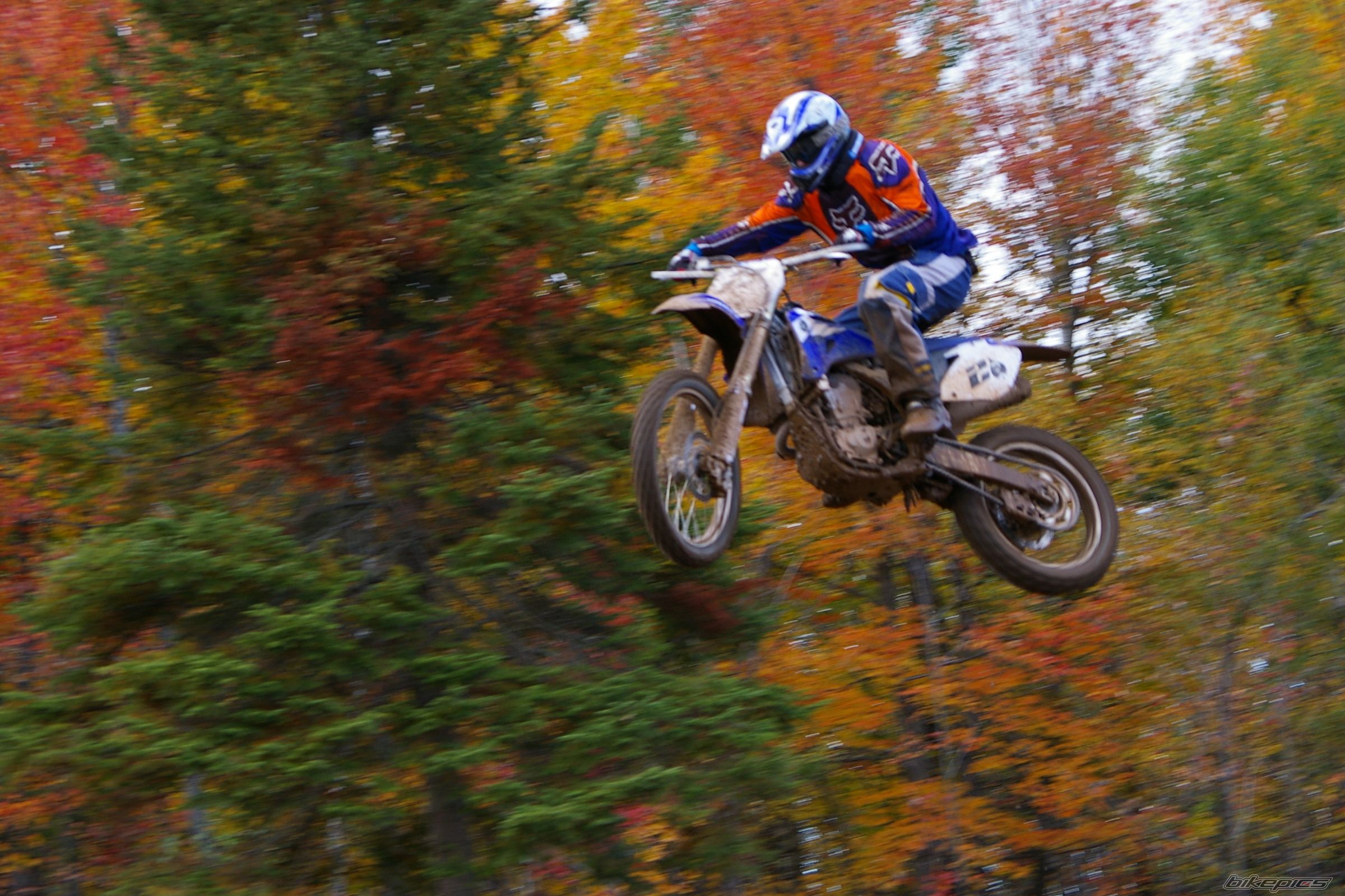 2006 YAMAHA YZ 450F | Picture 698579 motorcycle photo