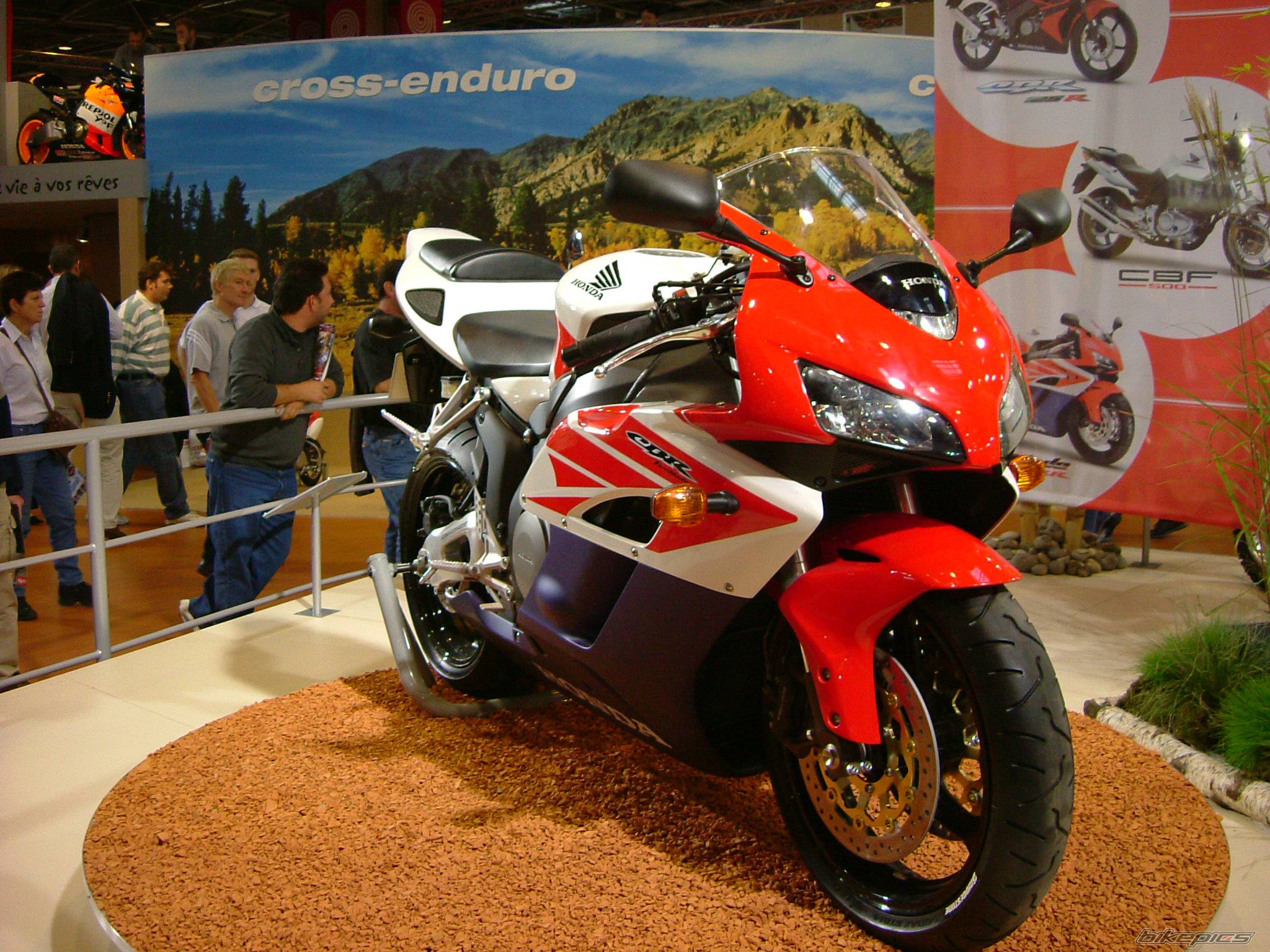 2004 HONDA CBR 1000 F | Picture 69904 motorcycle photo