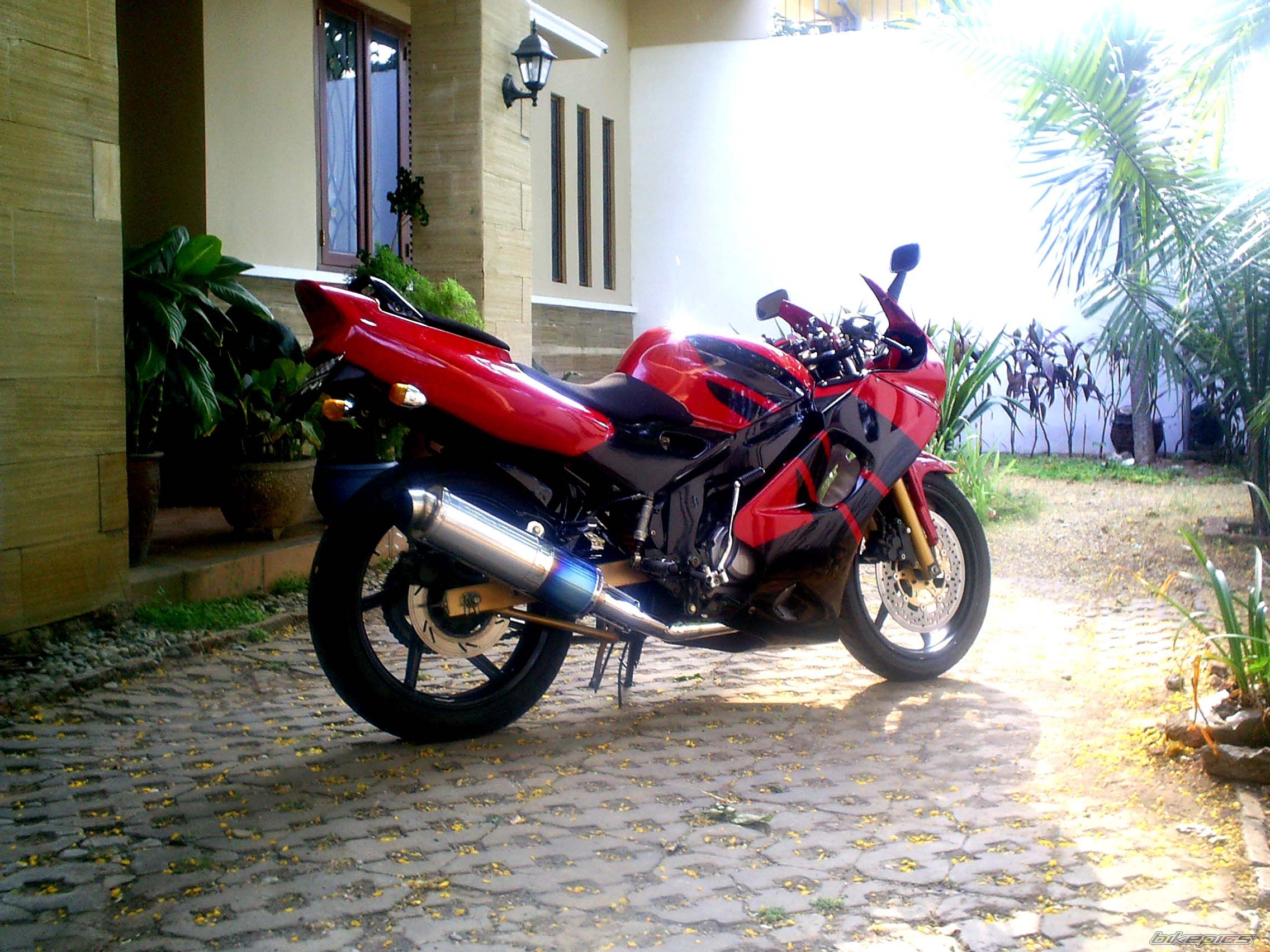   | Picture 699443 motorcycle photo