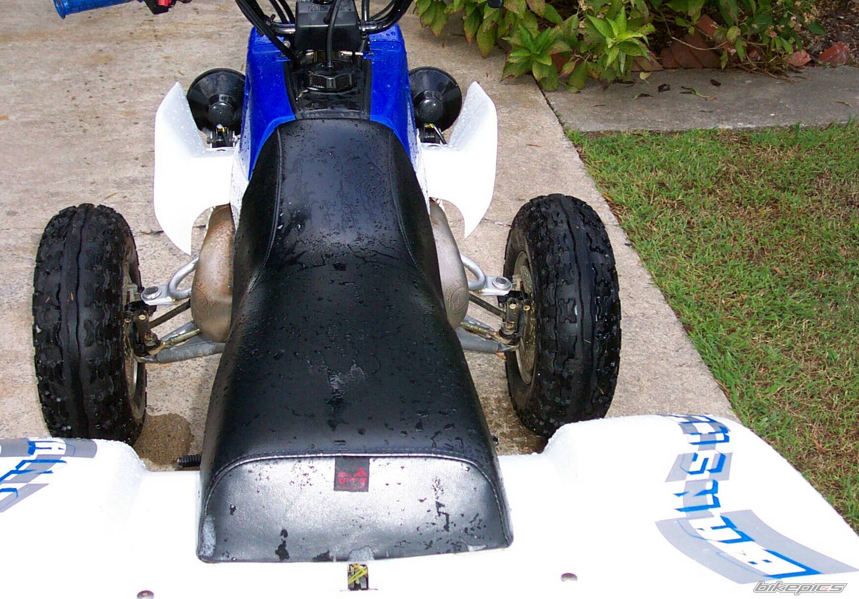 1998 YAMAHA BANSHEE | Picture 69960 motorcycle photo