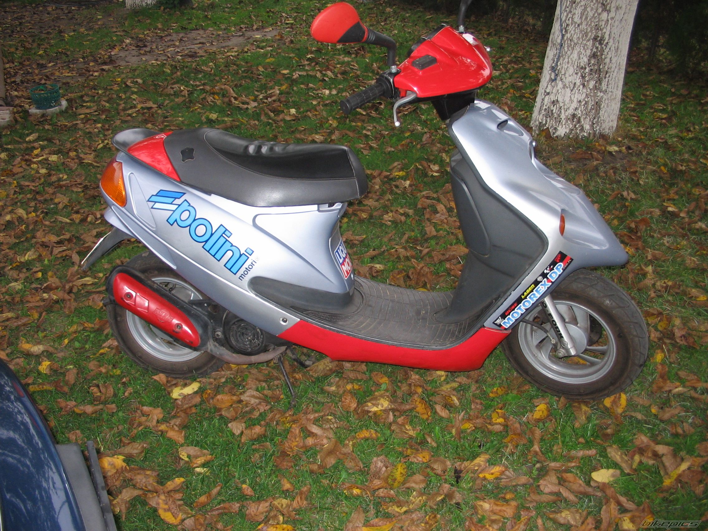 1998 MALAGUTI F 10 50 | Picture 700946 motorcycle photo