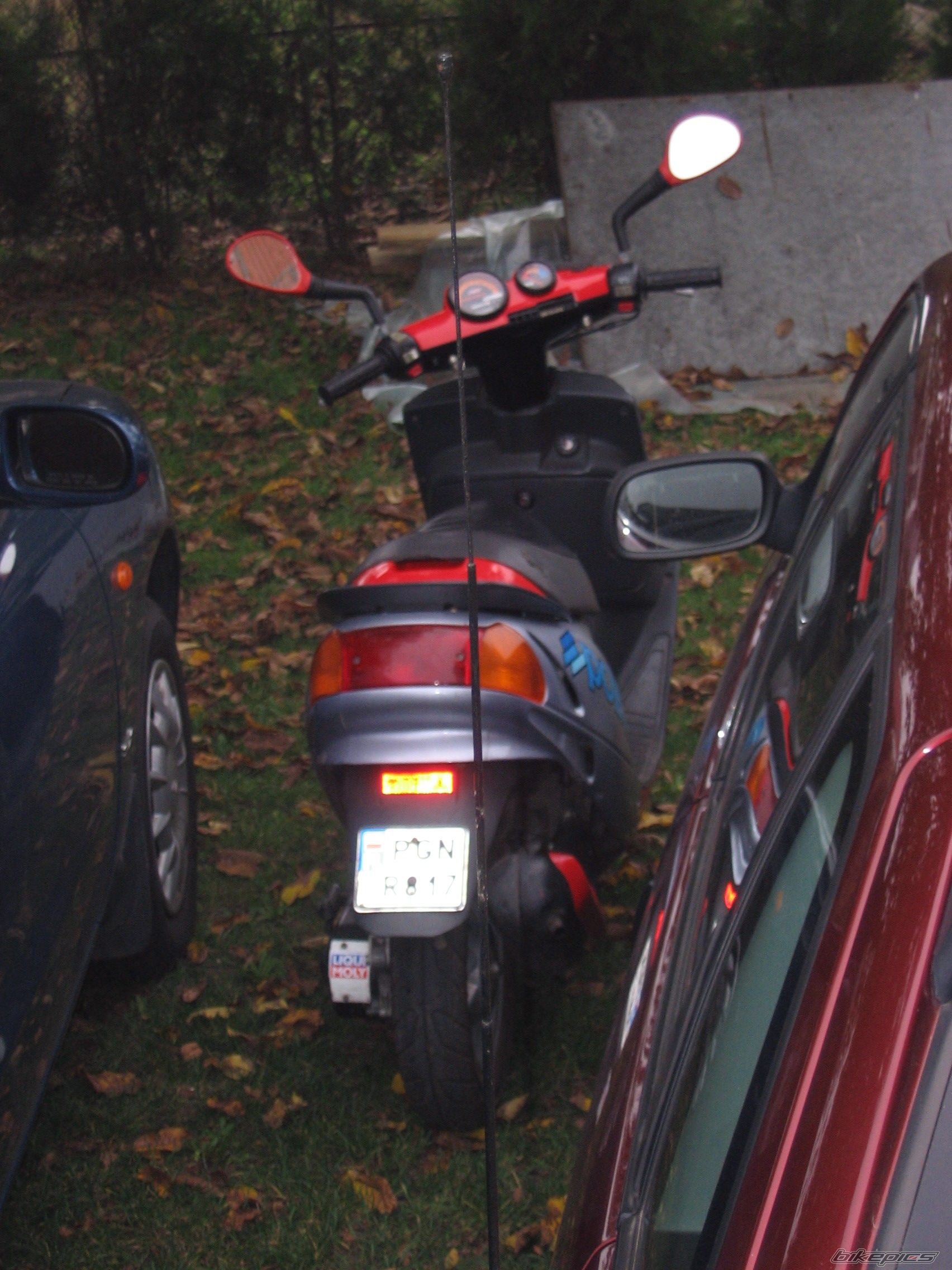 1998 MALAGUTI F 10 50 | Picture 700961 motorcycle photo