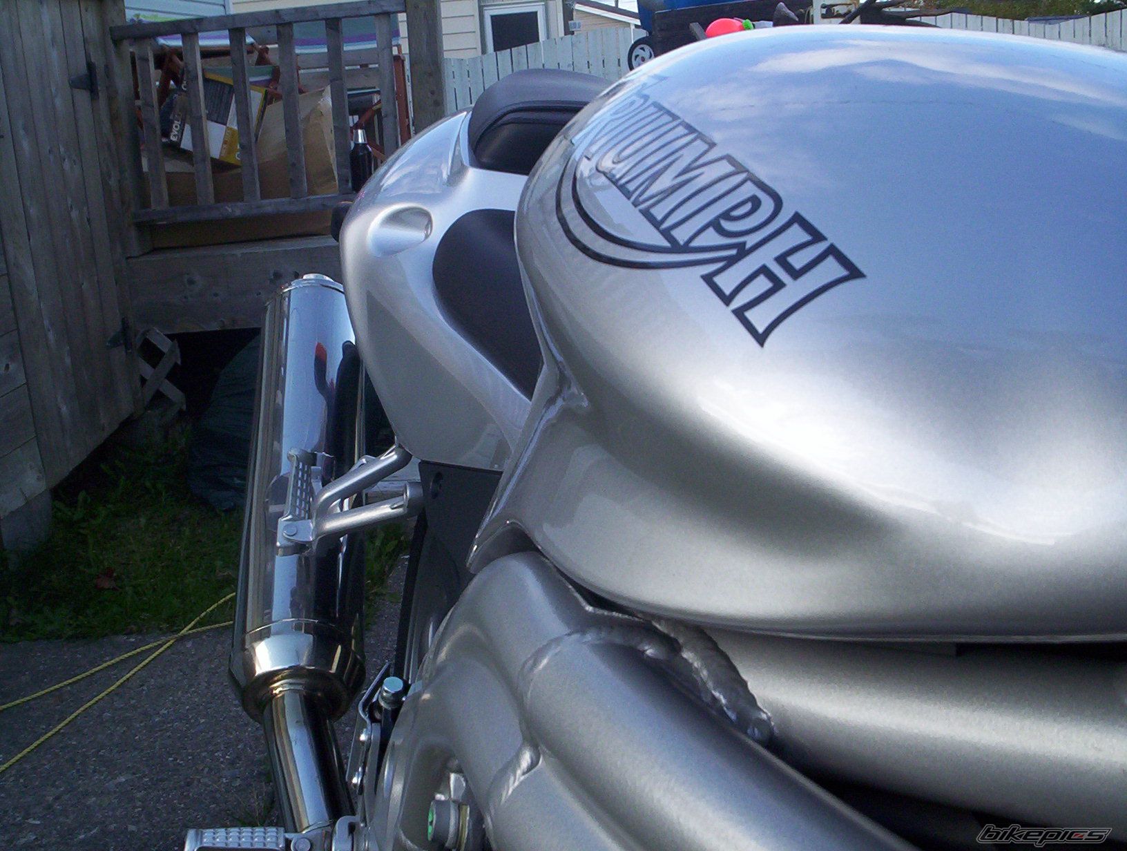 2003 TRIUMPH SPEED TRIPLE | Picture 701023 motorcycle photo