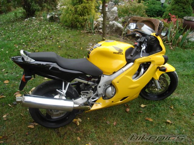 1999 HONDA CBR 600 | Picture 701517 motorcycle photo