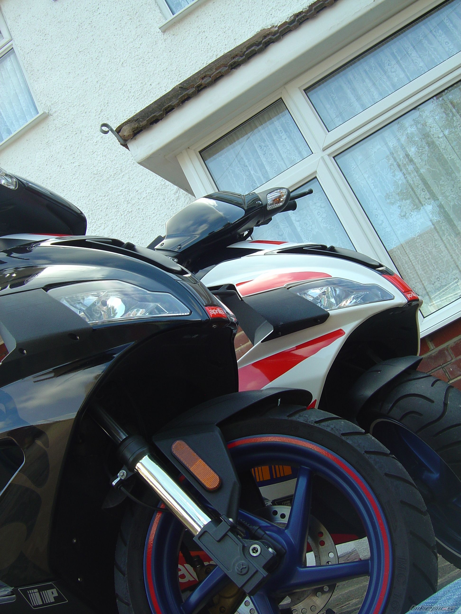 2006 APRILIA SR 50 | Picture 702060 motorcycle photo