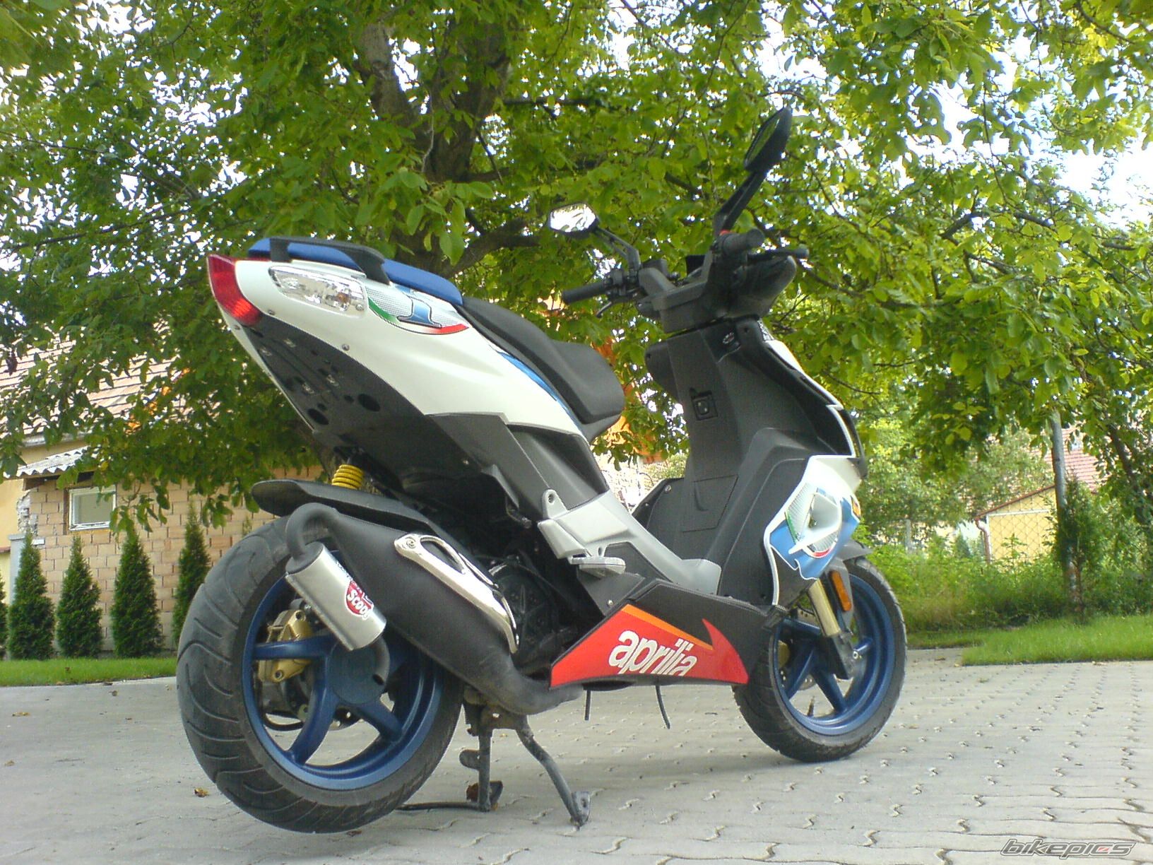 2006 APRILIA SR 50 | Picture 702345 motorcycle photo