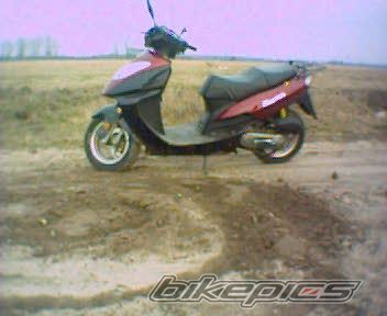 2005 YAMAHA ZIPP QUANTUM | Picture 702527 motorcycle photo