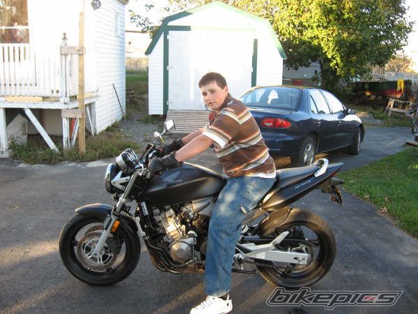 2004 HONDA CBF 600 | Picture 702848 motorcycle photo
