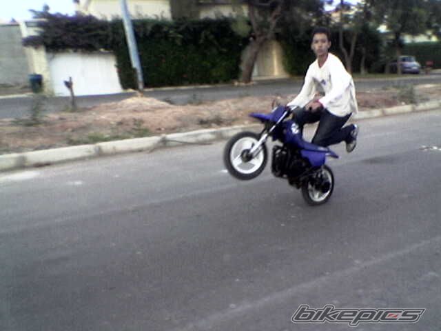 2003 YAMAHA PW 50 | Picture 702986 motorcycle photo