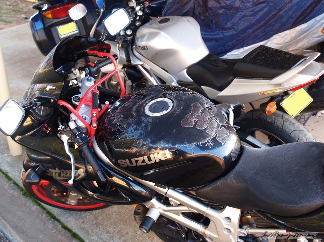 1997 SUZUKI TL1000S | Picture 703247 motorcycle photo