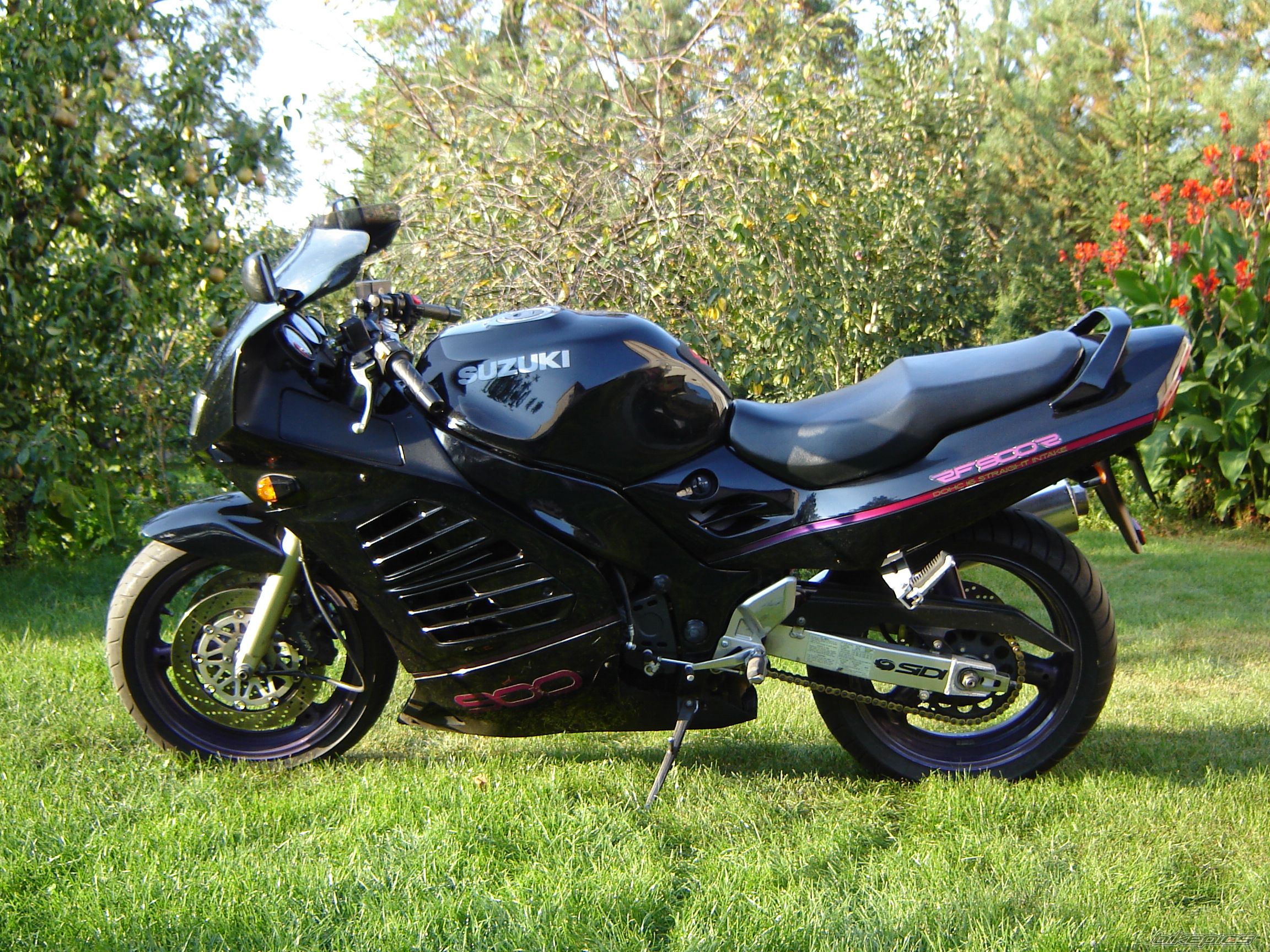 1994 SUZUKI RF 900 | Picture 703622 motorcycle photo