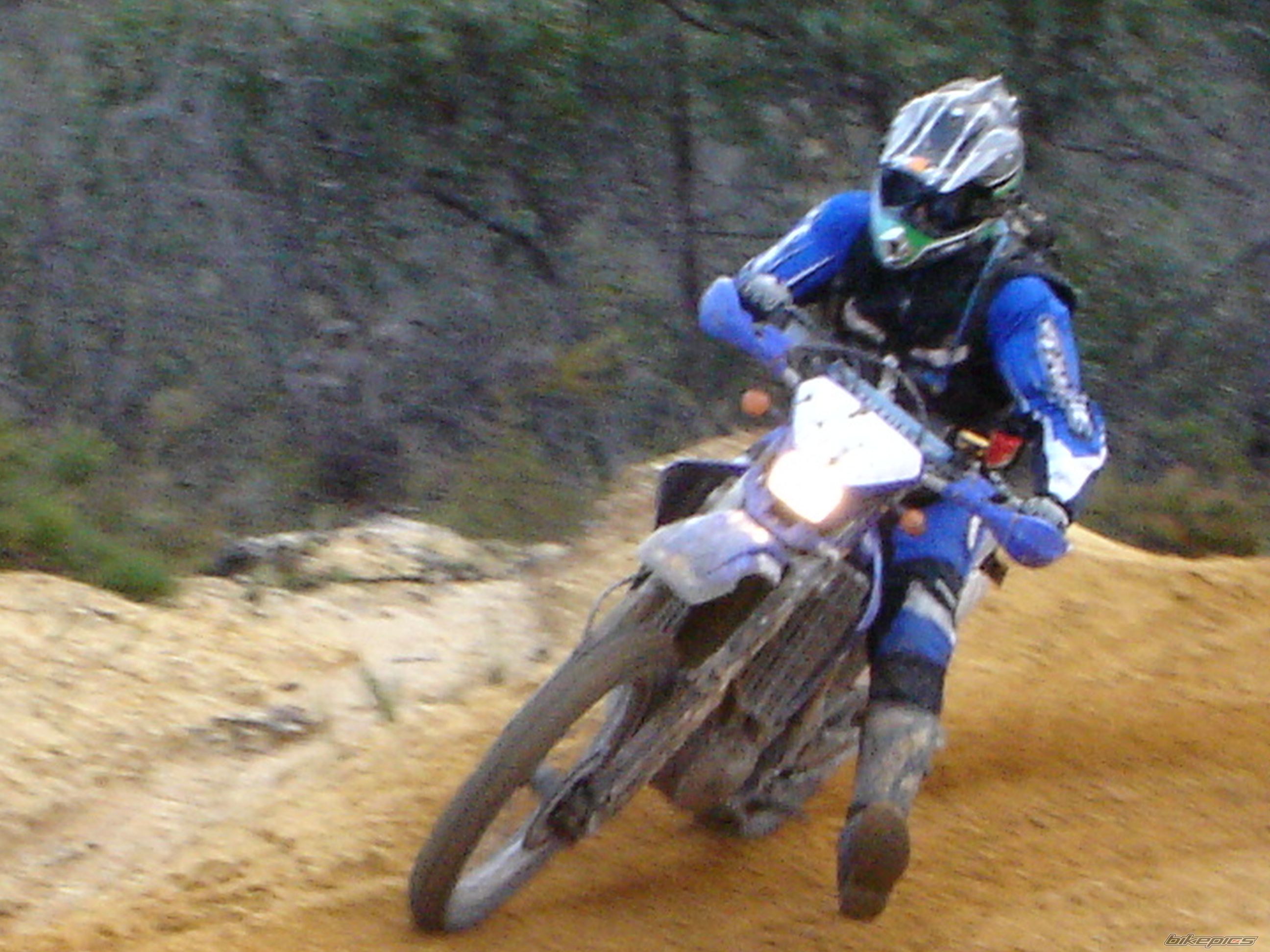 2003 YAMAHA WR450 | Picture 704436 motorcycle photo