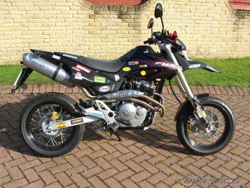2006 HONDA FMX 650 FUNMOTO | Picture 704461 motorcycle photo