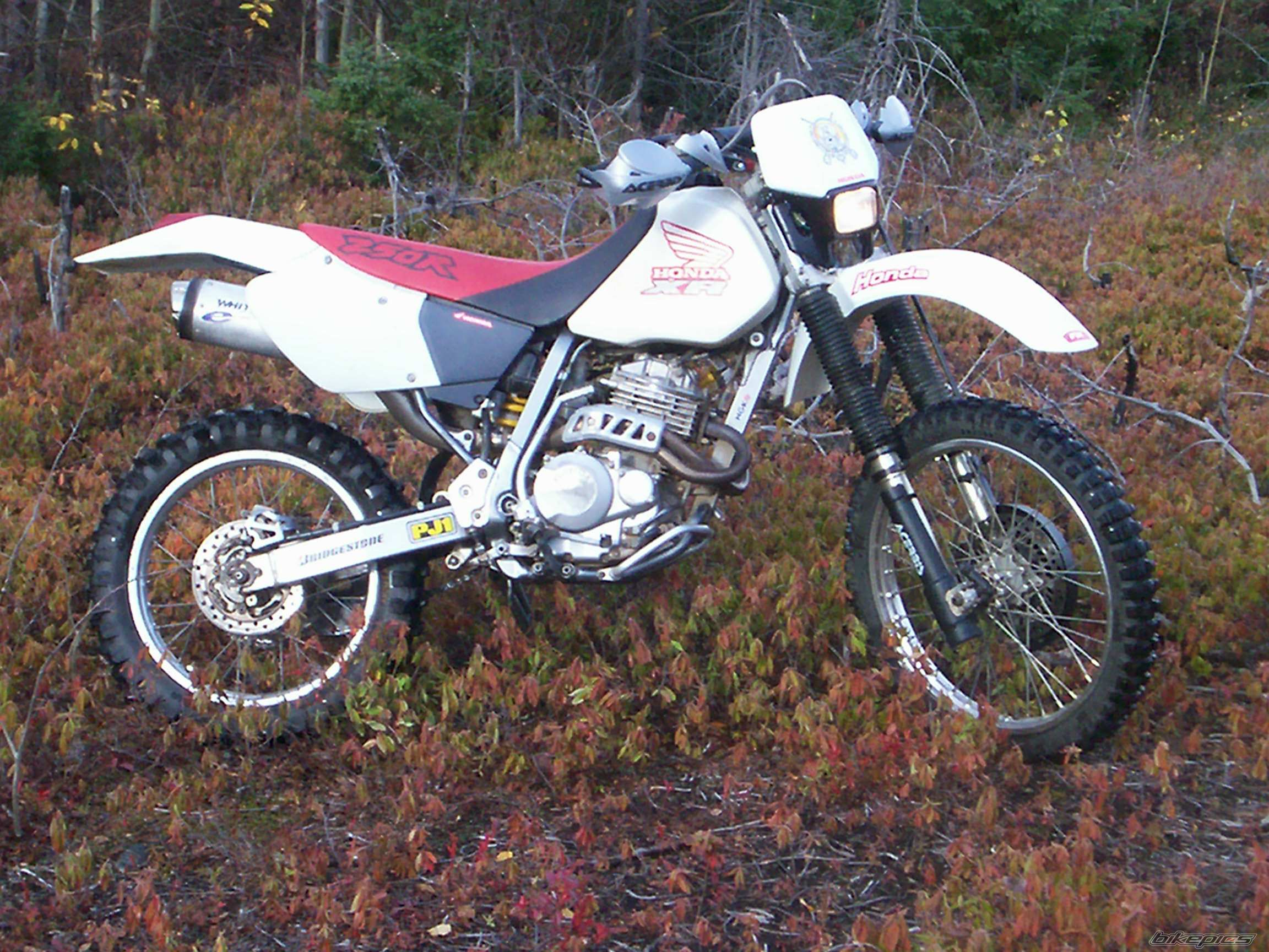 2000 HONDA XR 250 | Picture 704680 motorcycle photo