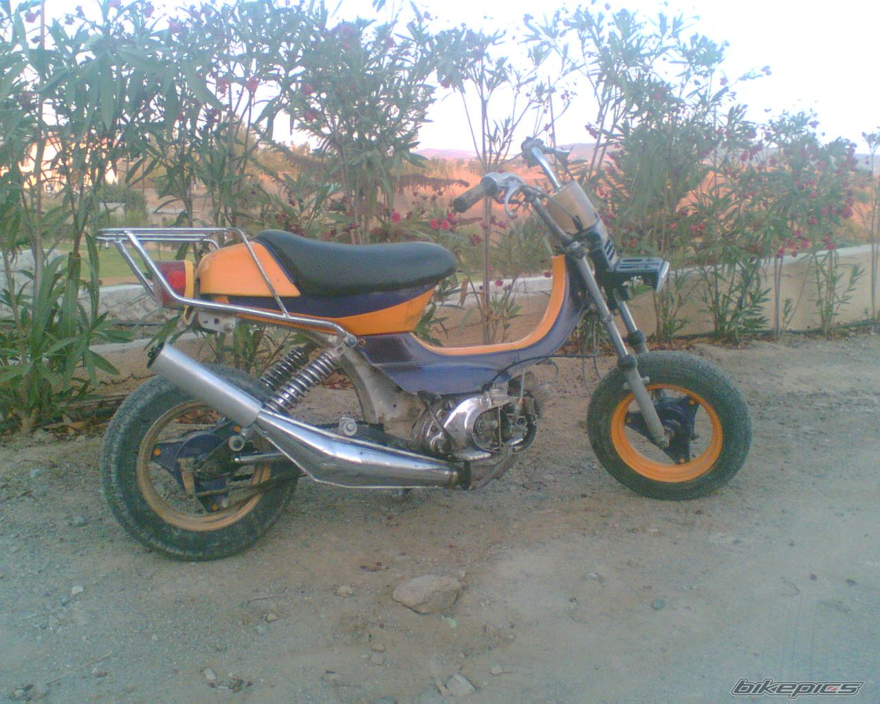 2006 SUZUKI RV 50 | Picture 705741 motorcycle photo