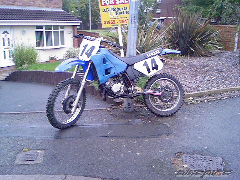 1995 YAMAHA DT 125 | Picture 705894 motorcycle photo