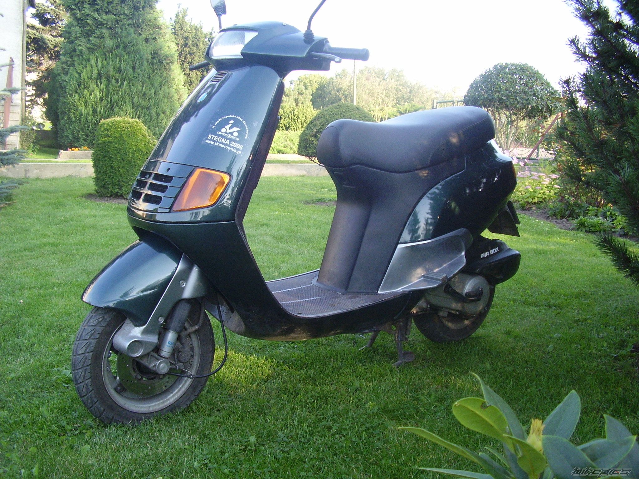 1995 PIAGGIO QUARTZ 50 | Picture 705967 motorcycle photo