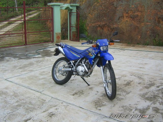 2006 YAMAHA XTZ 125 | Picture 706057 motorcycle photo