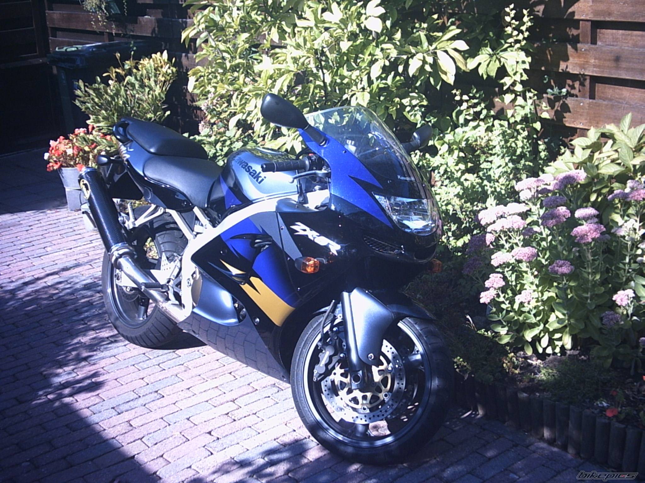 1998 KAWASAKI ZX 6R | Picture 70706 motorcycle photo