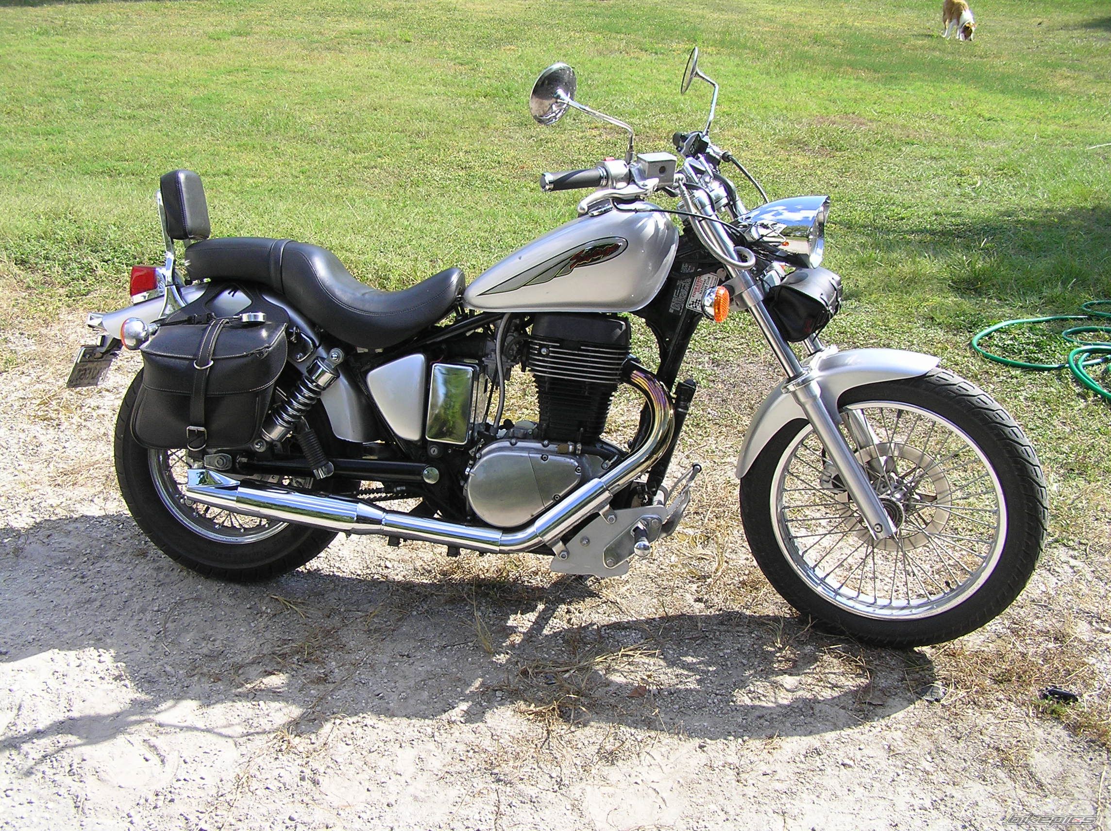 2002 SUZUKI SAVAGE | Picture 707625 motorcycle photo