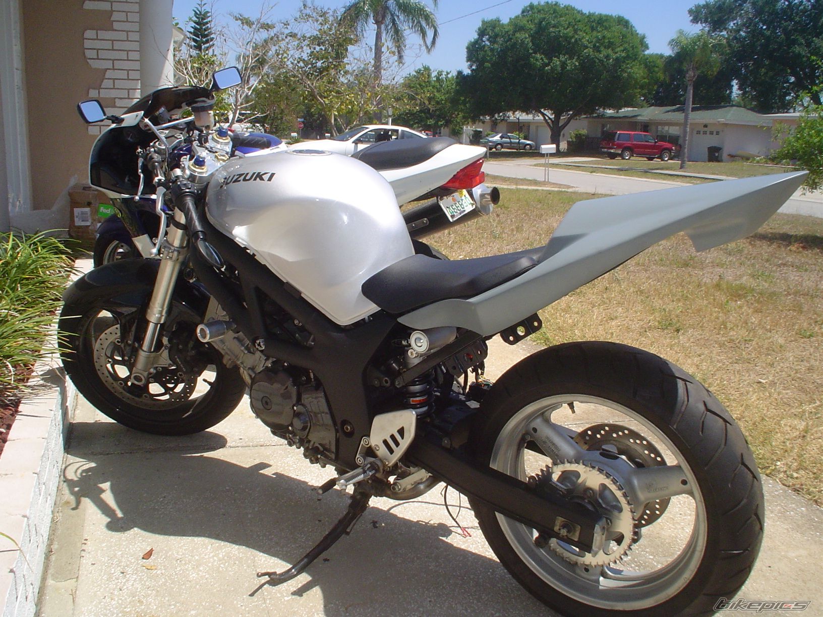 2002 SUZUKI SV 650S | Picture 707989 motorcycle photo