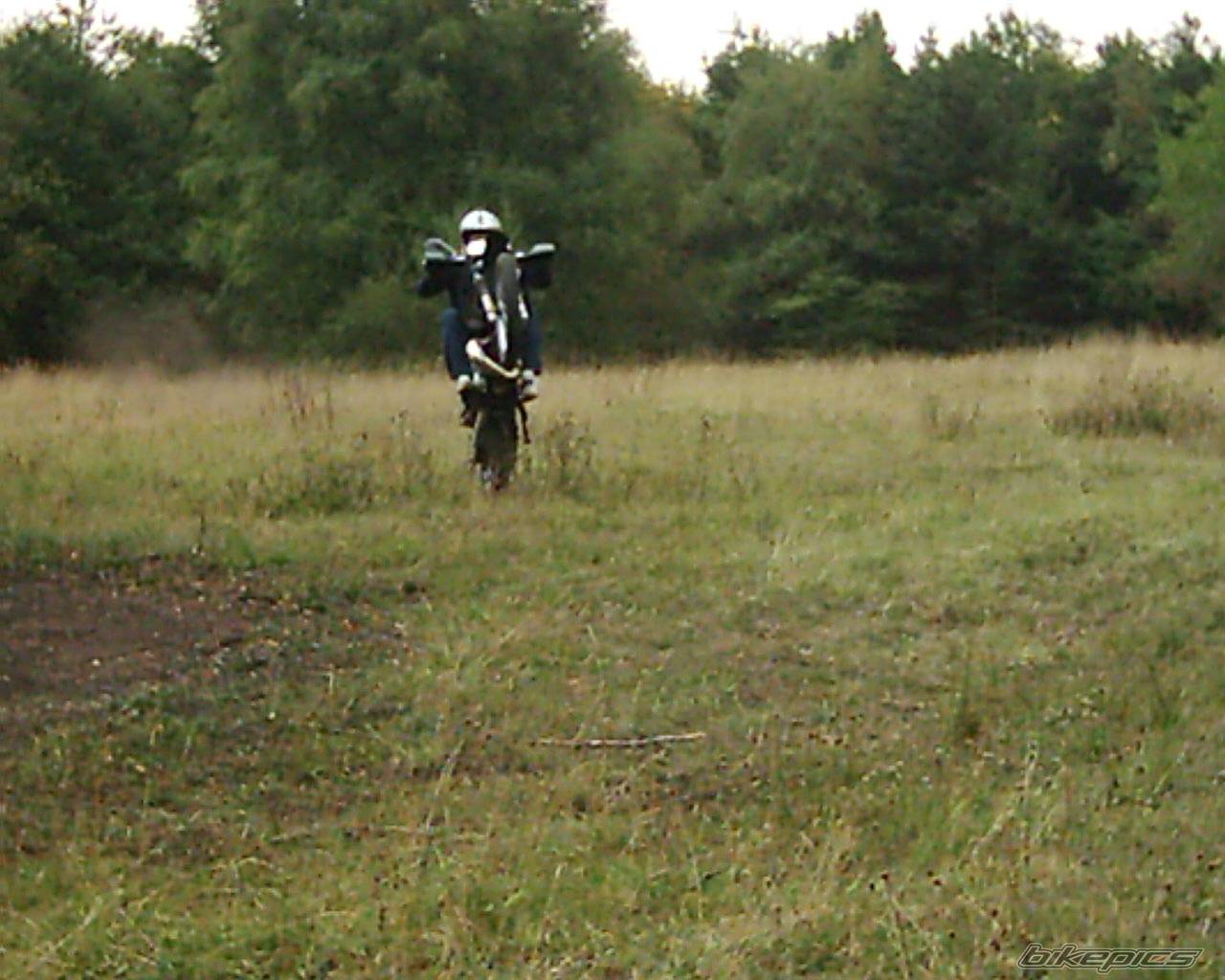 2001 YAMAHA DT 125 | Picture 70832 motorcycle photo