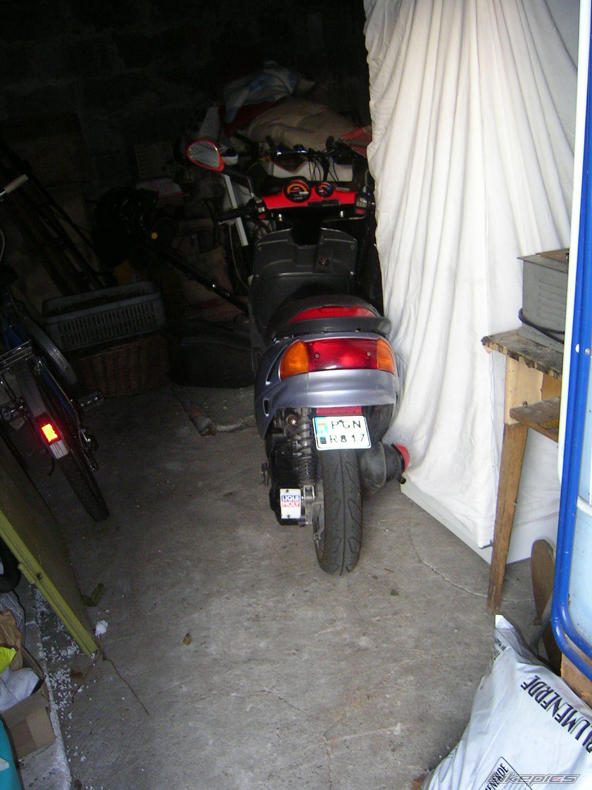 1998 MALAGUTI F 10 50 | Picture 708369 motorcycle photo