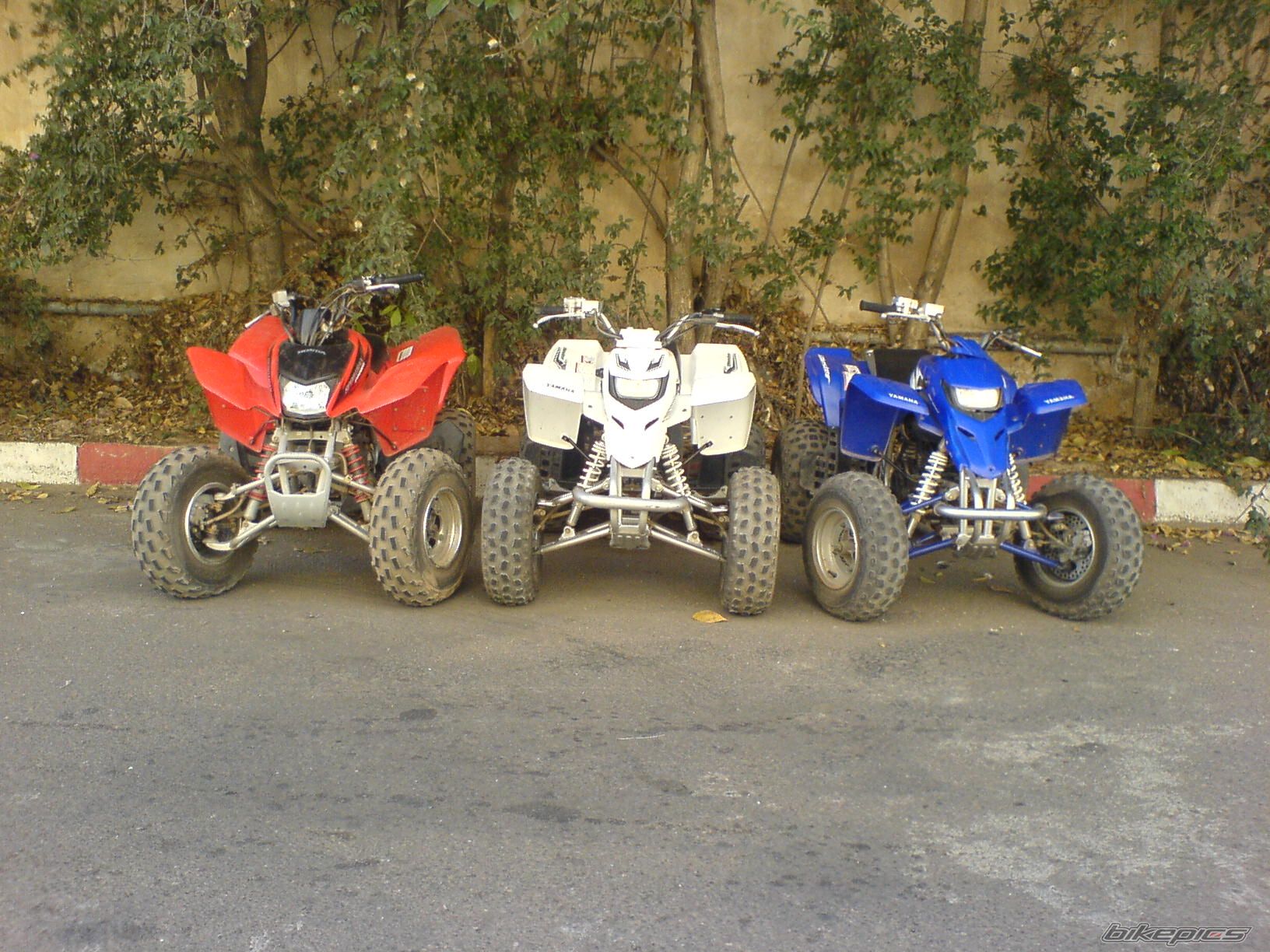 2006 YAMAHA BLASTER | Picture 708660 motorcycle photo