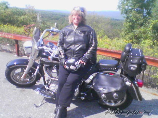 2003 HARLEY DAVIDSON FAT BOY ANNIVERSARY ED. | Picture 708751 motorcycle photo