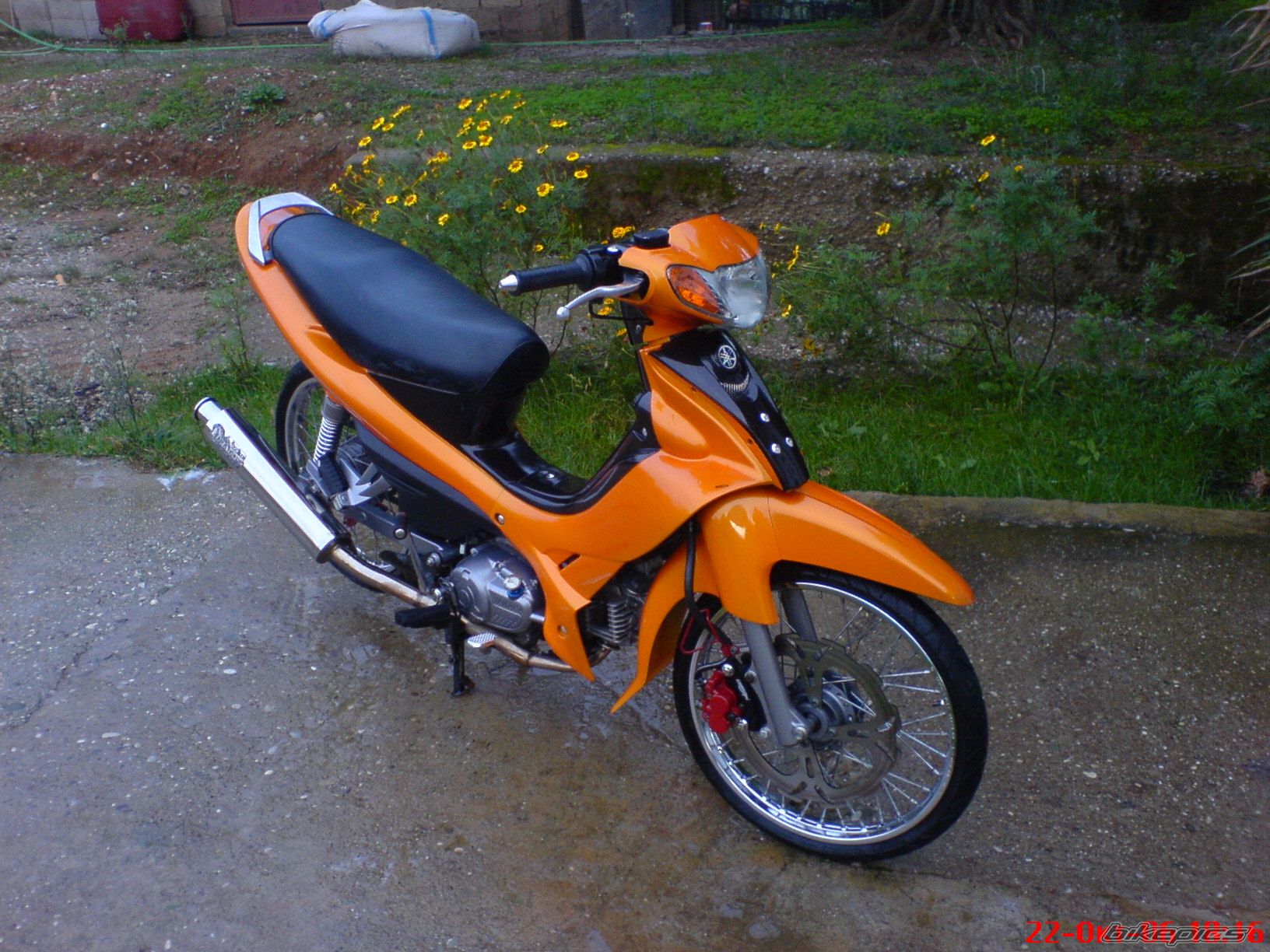 2004 YAMAHA CRYPTON R 04 | Picture 709176 motorcycle photo