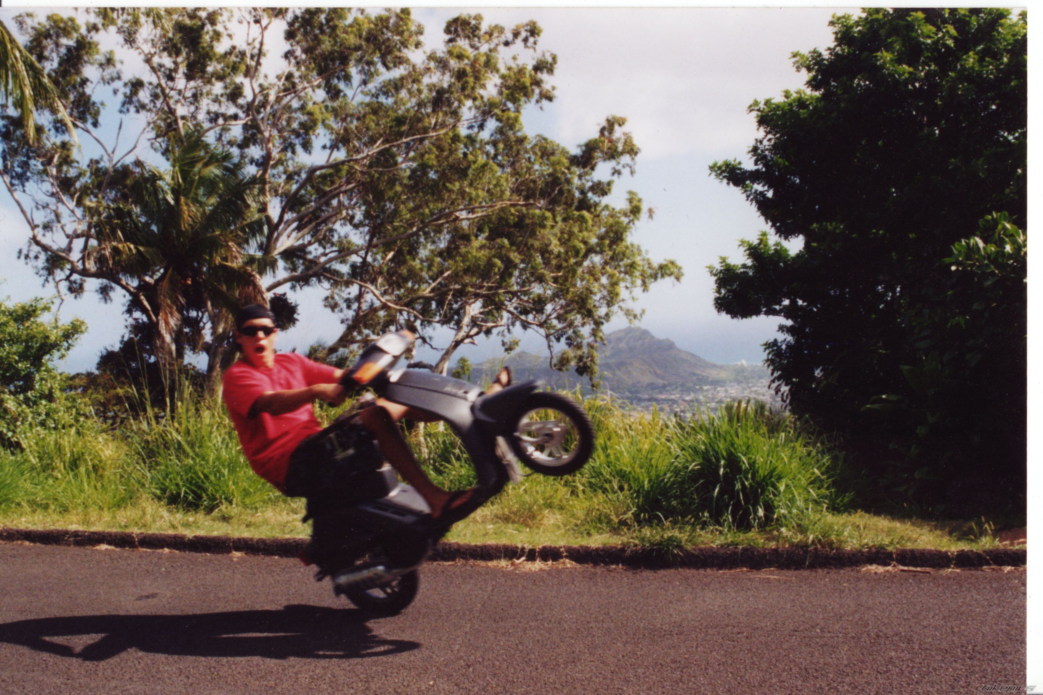 1995 YAMAHA RAZZ | Picture 709554 motorcycle photo