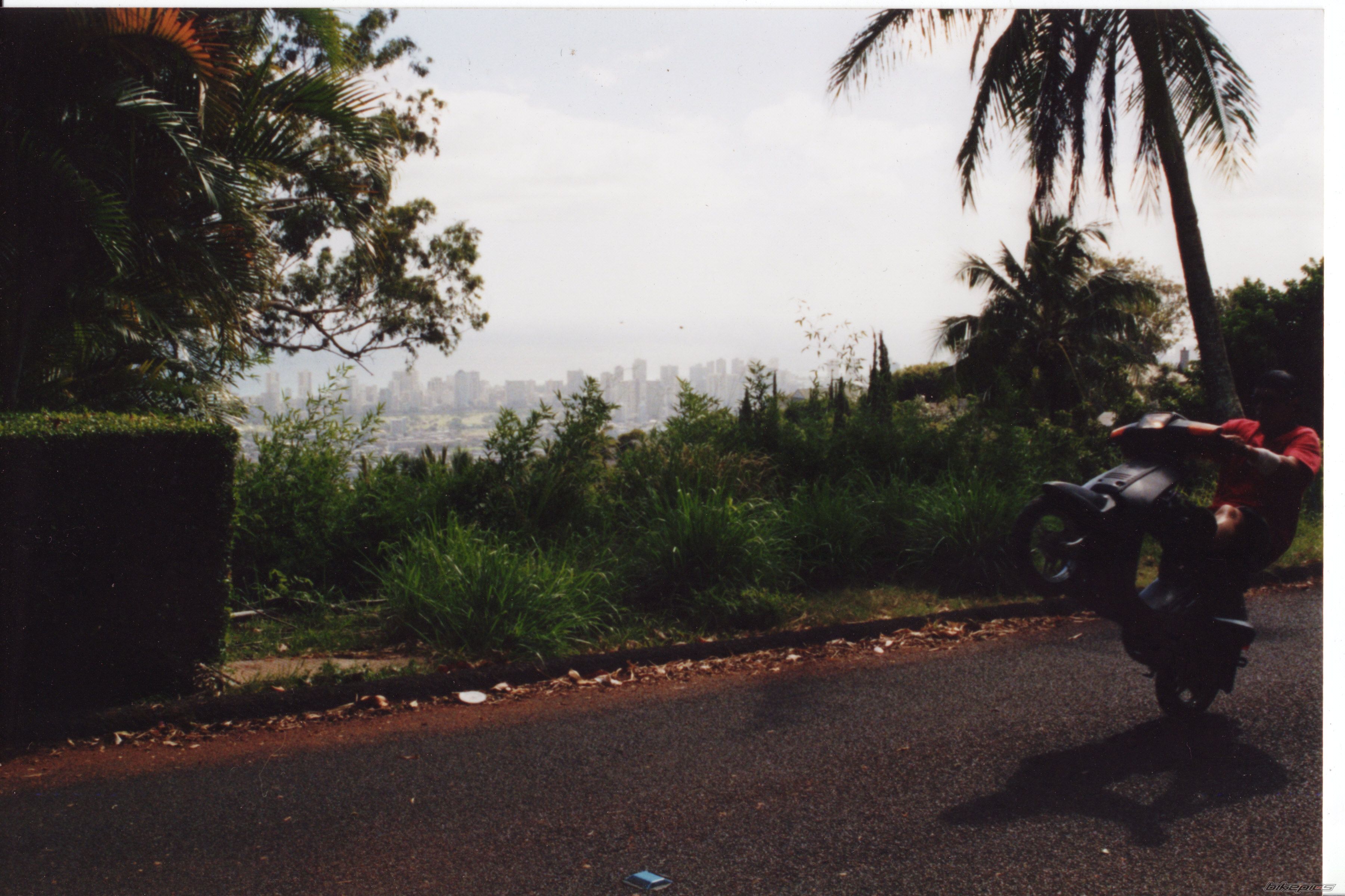 1995 YAMAHA RAZZ | Picture 709556 motorcycle photo