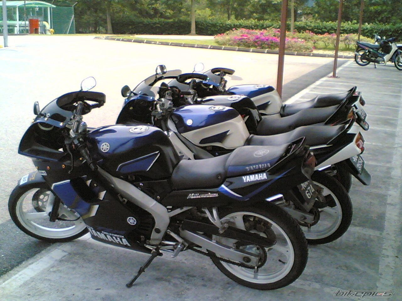 2006 YAMAHA TZM 150 | Picture 710073 motorcycle photo