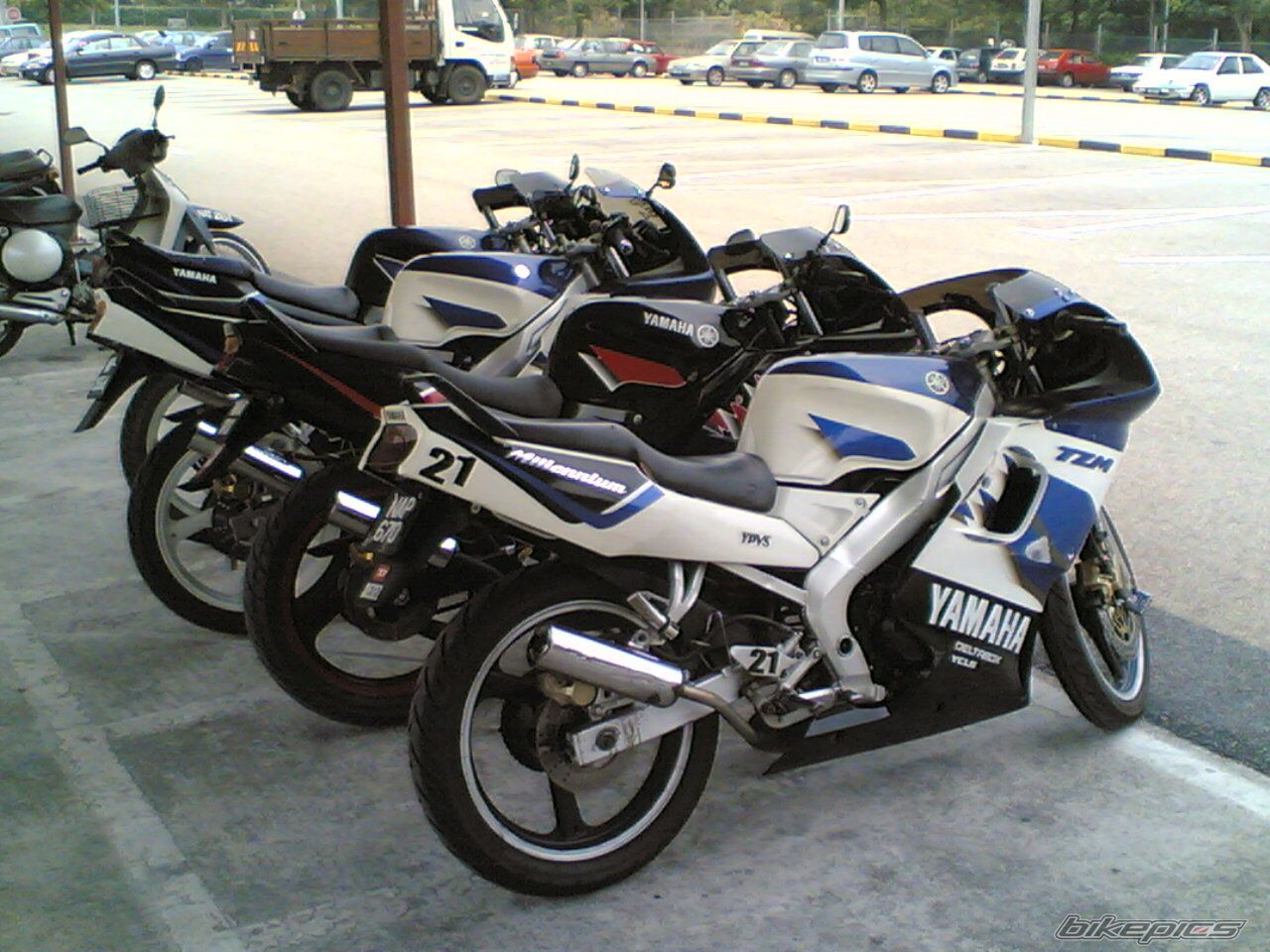 2006 YAMAHA TZM 150 | Picture 710074 motorcycle photo