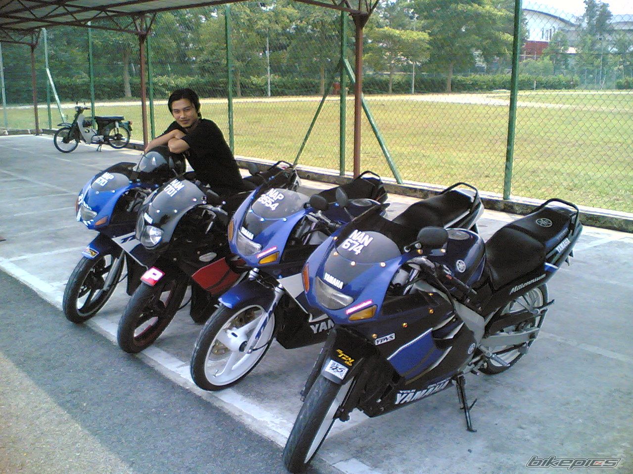 2006 YAMAHA TZM 150 | Picture 710076 motorcycle photo