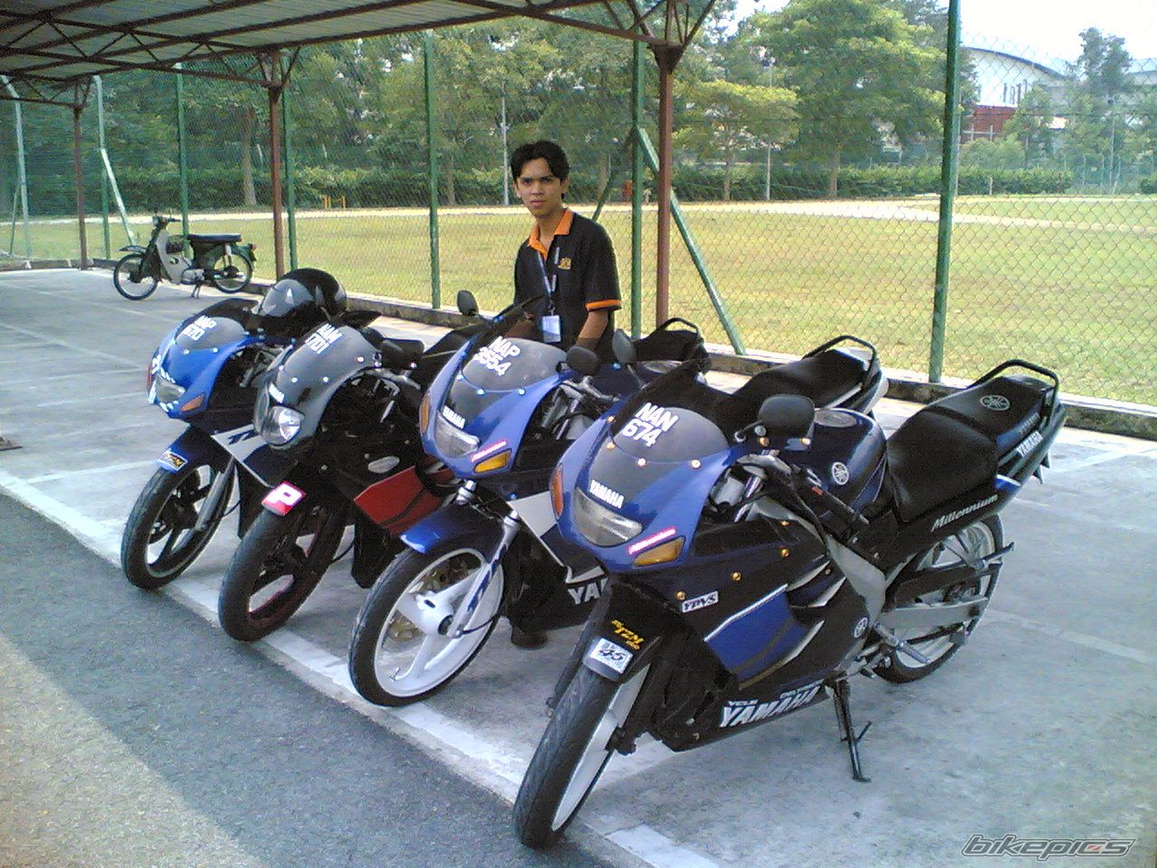 2006 YAMAHA TZM 150 | Picture 710077 motorcycle photo