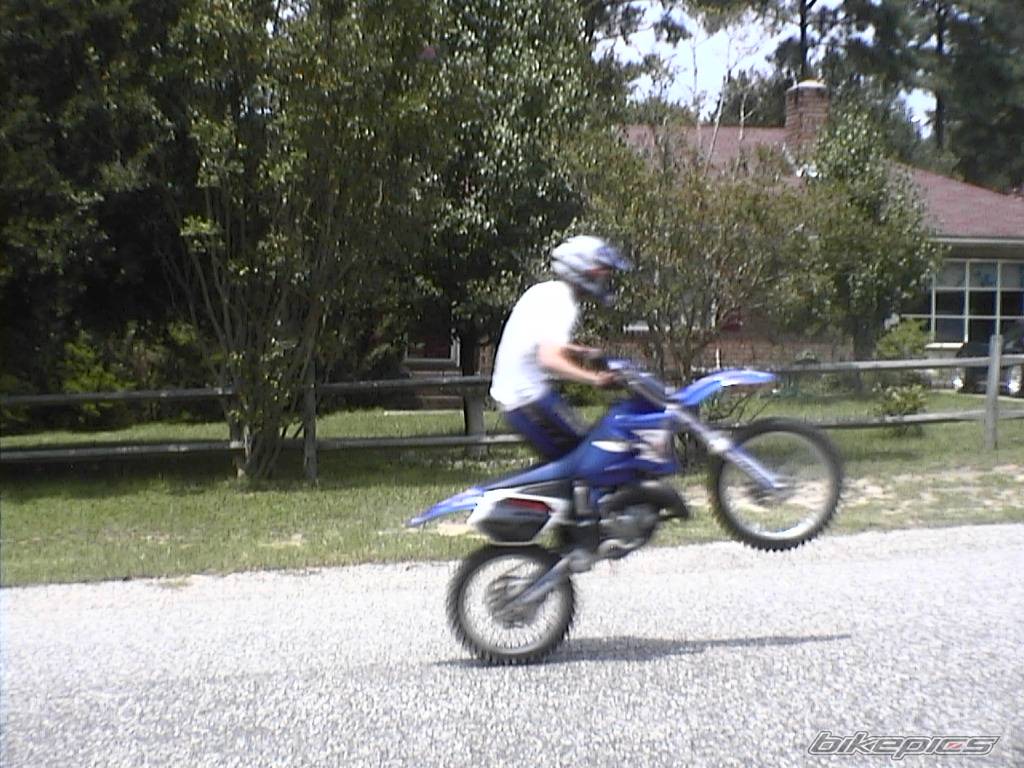 2002 YAMAHA YZ 125 | Picture 71079 motorcycle photo