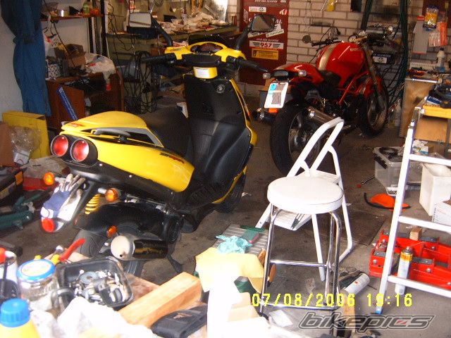 1995 DUCATI MONSTER 600 | Picture 710999 motorcycle photo