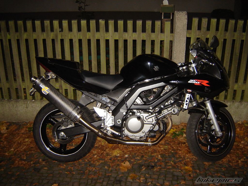 2005 SUZUKI SV 650S | Picture 711130 motorcycle photo