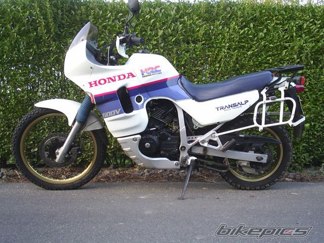 1988 HONDA XL 600V TRANSALP | Picture 711555 motorcycle photo