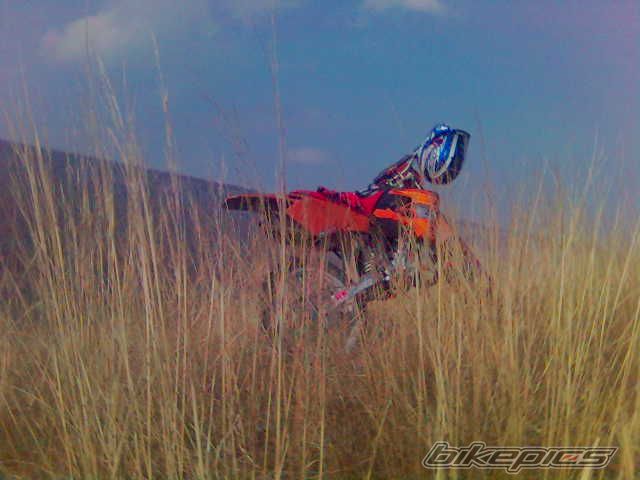 2000 KTM 50 EXC | Picture 711706 motorcycle photo