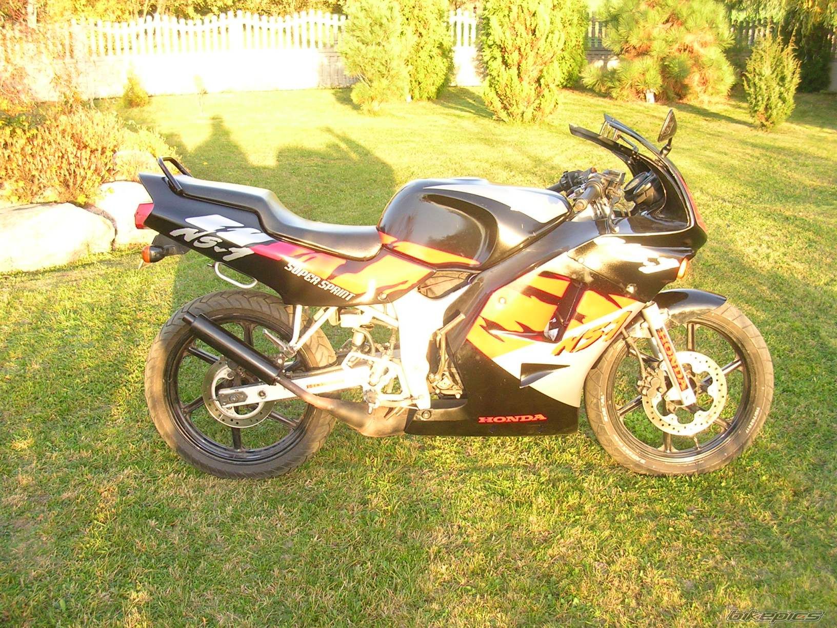 1996 HONDA NS1 80 | Picture 711842 motorcycle photo