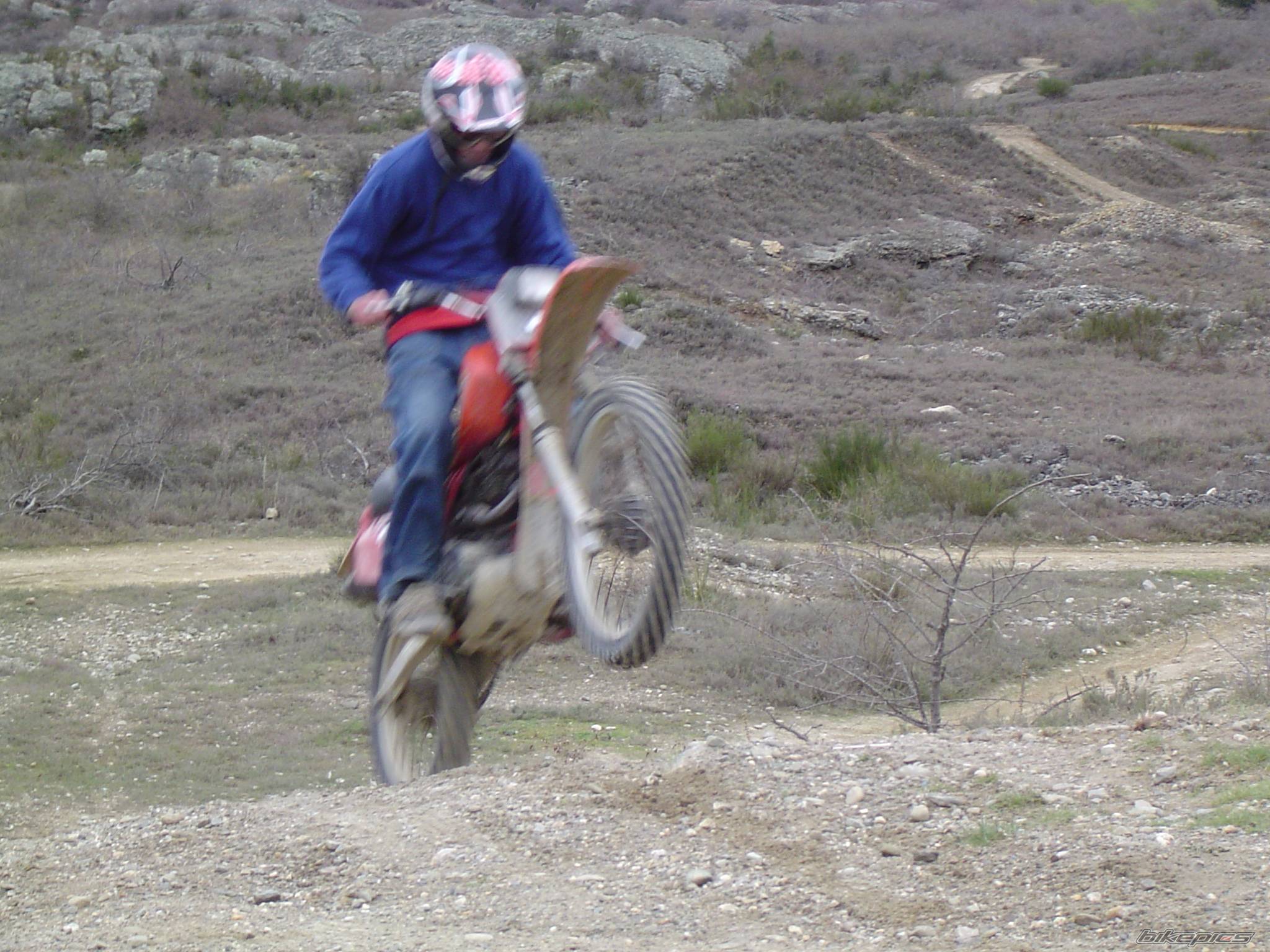 1982 HONDA XR 200 | Picture 71217 motorcycle photo