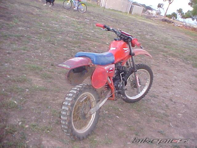 1982 HONDA CR 80 | Picture 71274 motorcycle photo