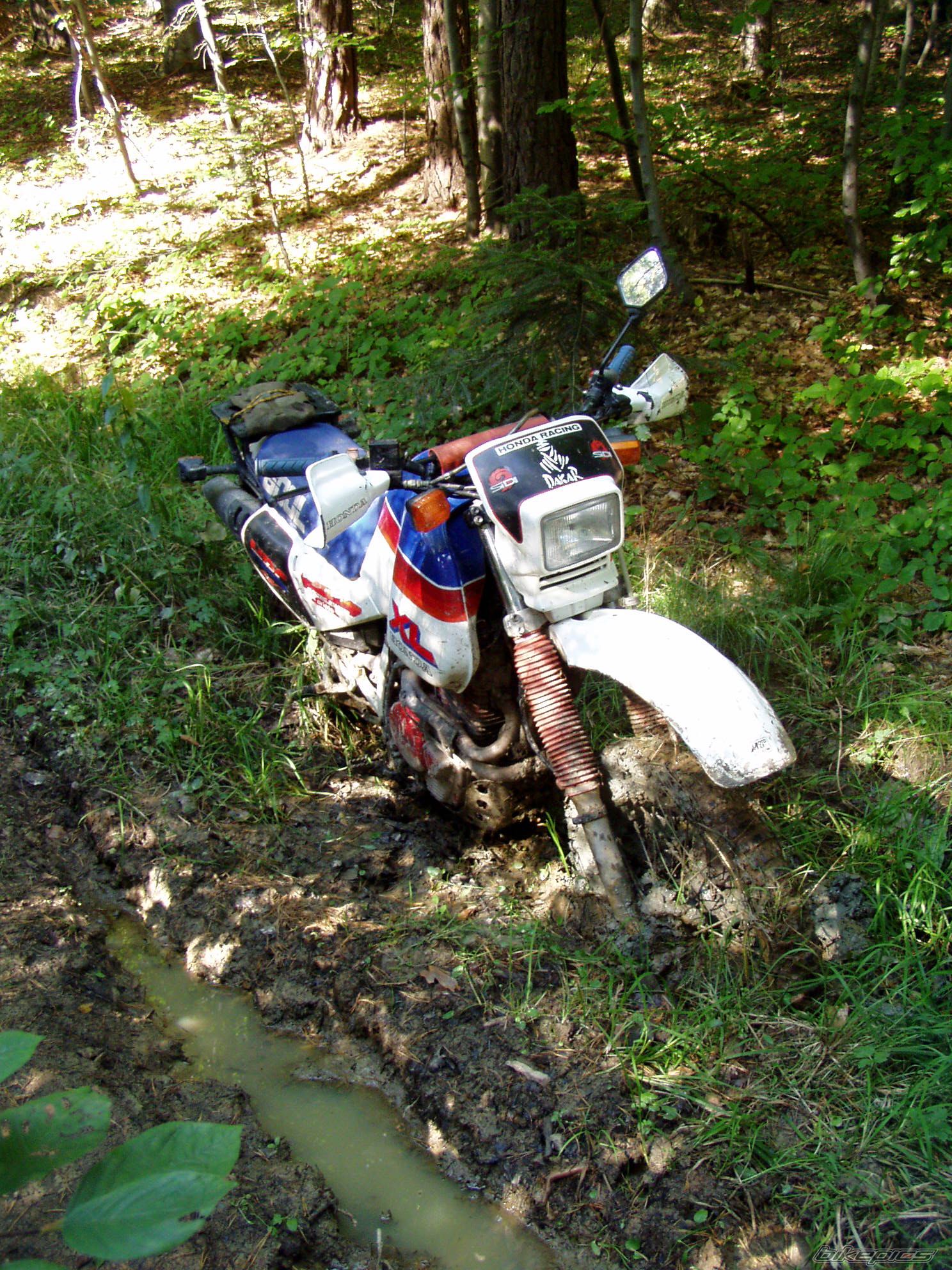 713025 | Picture 713025 motorcycle photo